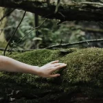 hypnotherapeute-reflexologue-saint_brieuc-broceliande-cotes_d_armor-bretagne-hypnose-hypersensible-therapie-coach-reflexologie-main-nature-touche-arbre