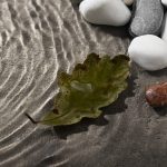 hypnotherapeute-reflexologue-saint_brieuc-broceliande-cotes_d_armor-bretagne-hypnose-hypersensible-therapie-coach-reflexologie-seance-zen-feuille