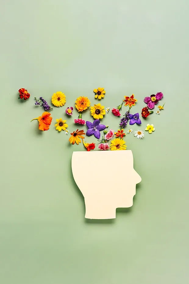 hypnotherapeute-reflexologue-saint_brieuc-broceliande-cotes_d_armor-bretagne-hypnose-hypersensible-therapie-coach-reflexologie-illustration