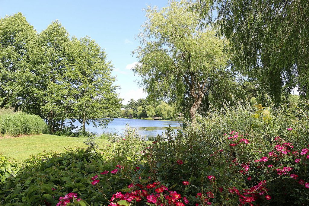 Hypnose à Loudéac, Photographie Parc de Loudéac