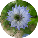 Nath profile picture